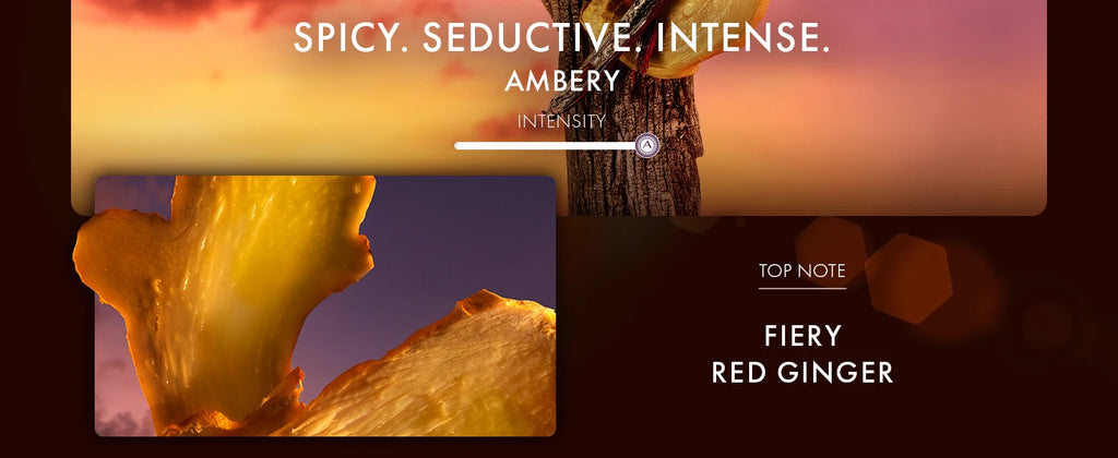 Azzaro The Most Wanted Parfum Intense - Luxury Spicy Men's Cologne 100ML