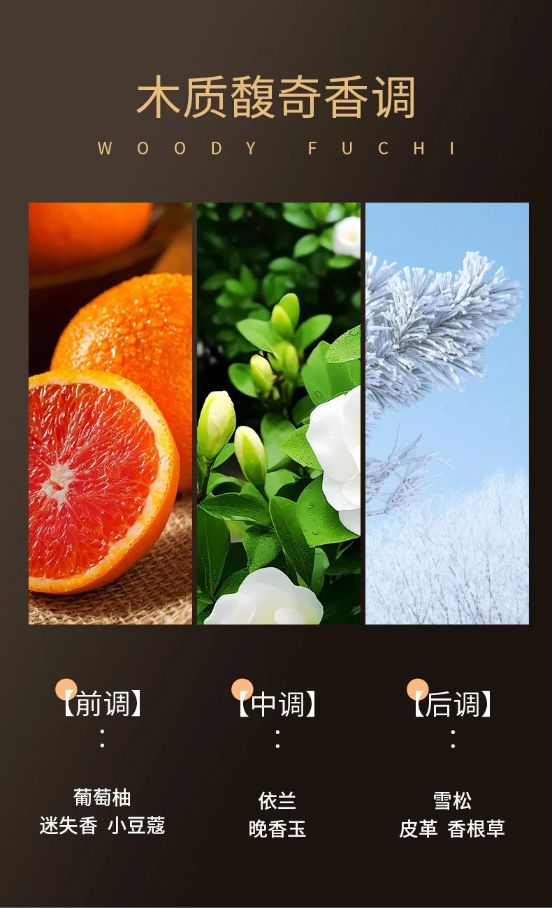 The One Luxury Woody Men's Eau De Parfum - Long-Lasting Fragrance 50ML